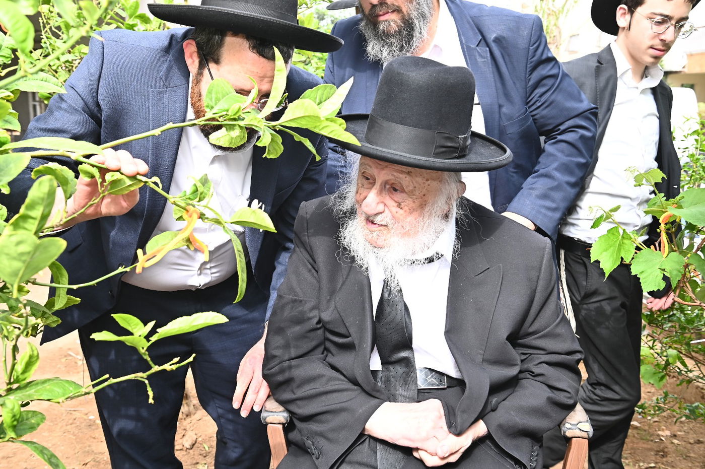 הגרב"ד פוברסקי בברכת האילנות