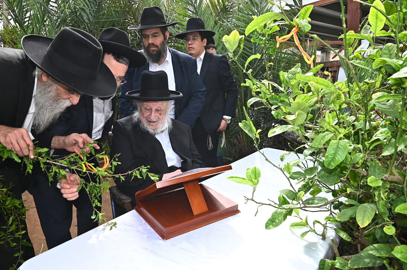 הגרב"ד פוברסקי בברכת האילנות