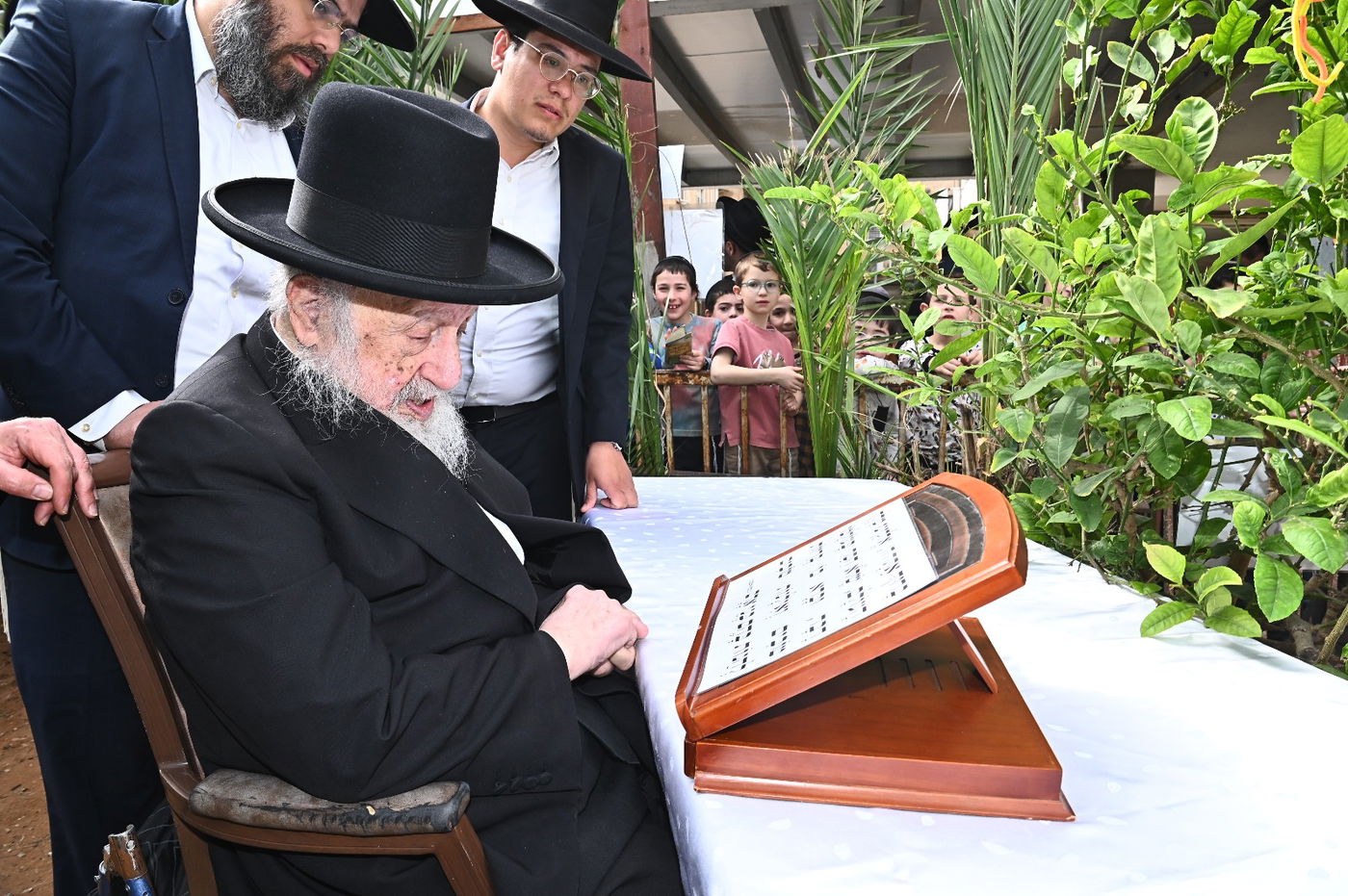 הגרב"ד פוברסקי בברכת האילנות