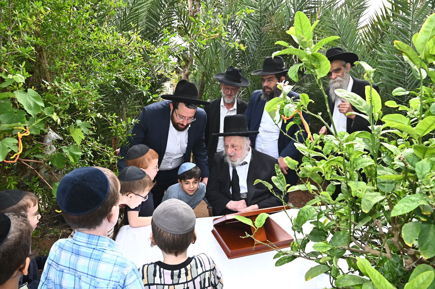 הגרב"ד פוברסקי בברכת האילנות