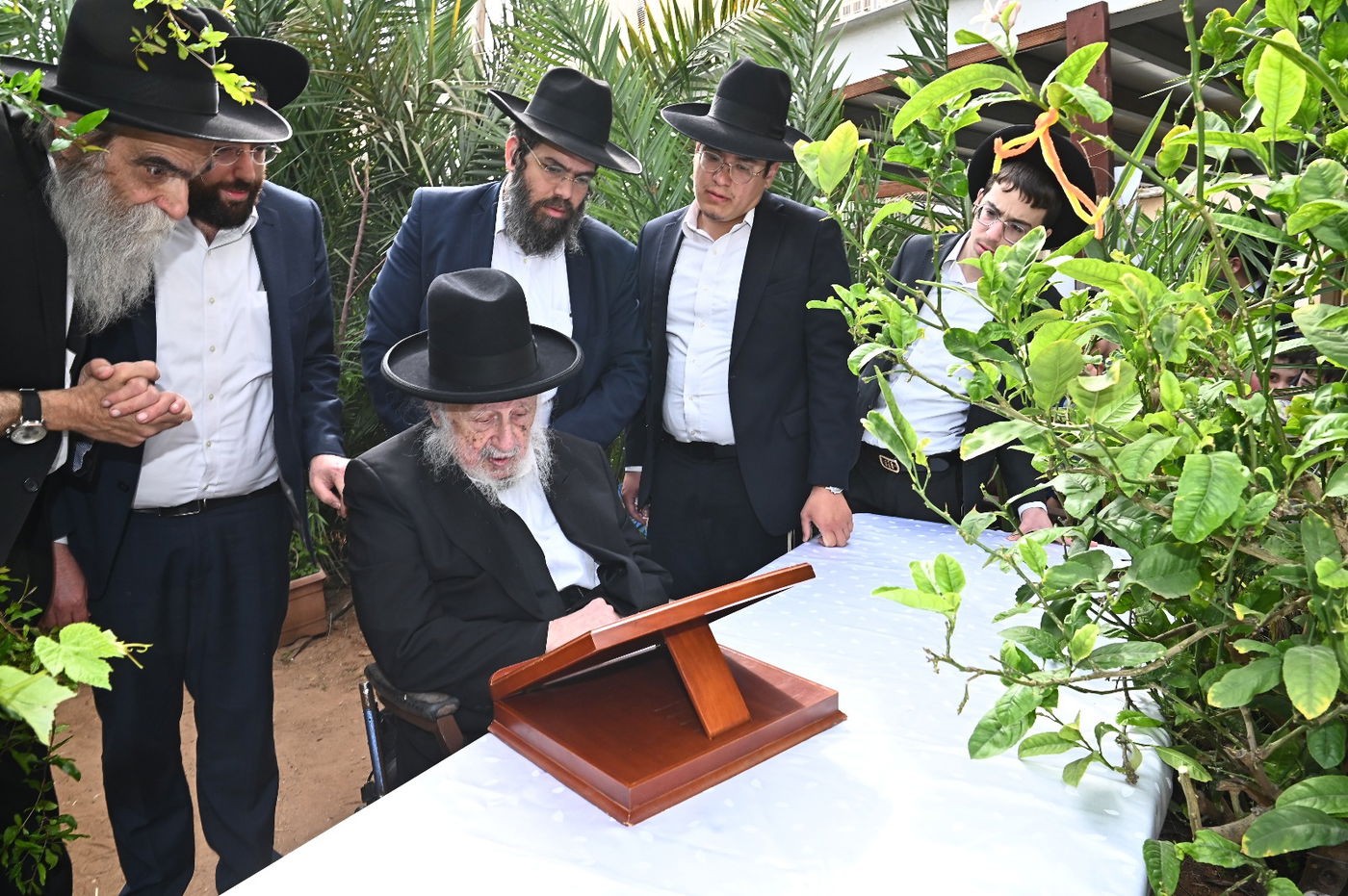 הגרב"ד פוברסקי בברכת האילנות