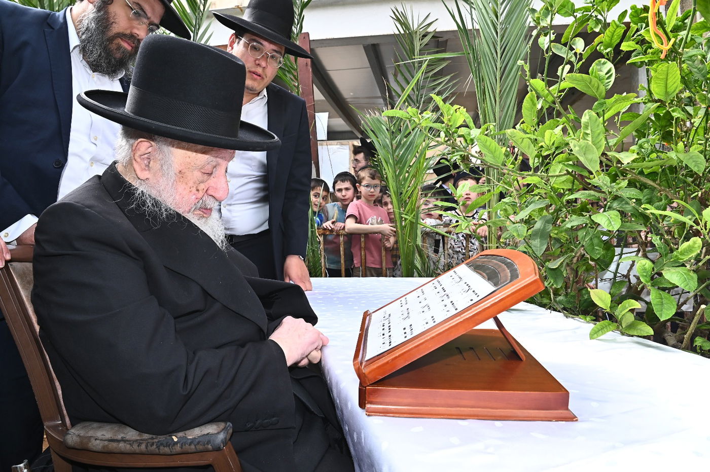 הגרב"ד פוברסקי בברכת האילנות