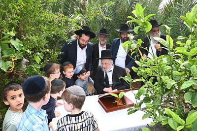 הגרב"ד פוברסקי בברכת האילנות