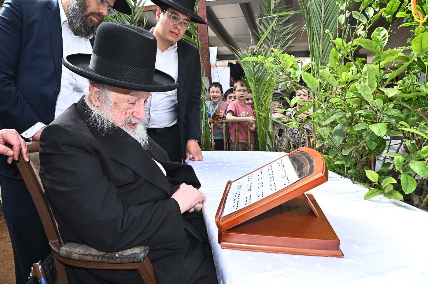 הגרב"ד פוברסקי בברכת האילנות