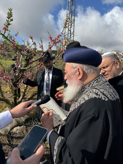 הגרש"מ עמאר בברכת האילנות