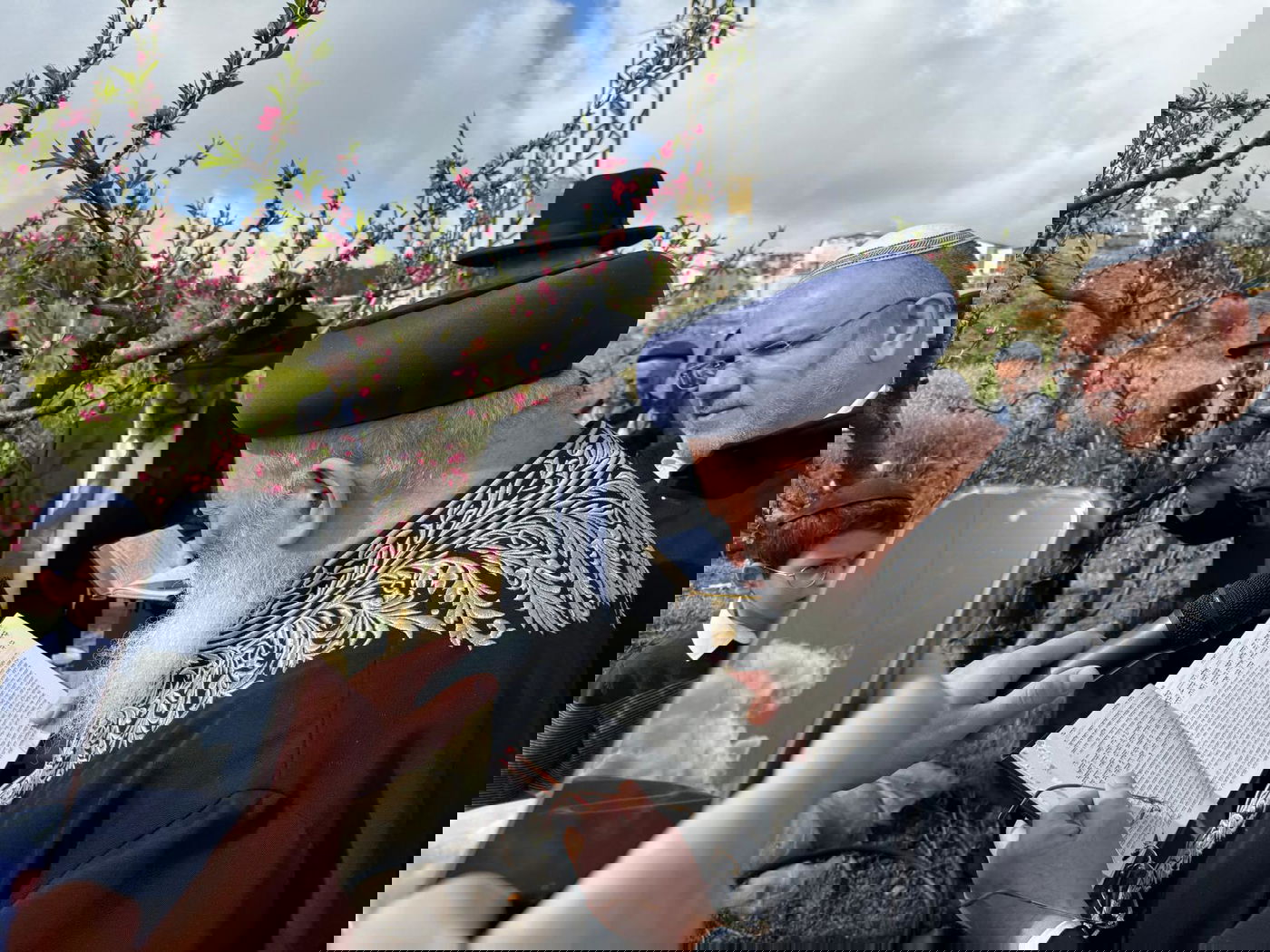 הגרש"מ עמאר בברכת האילנות