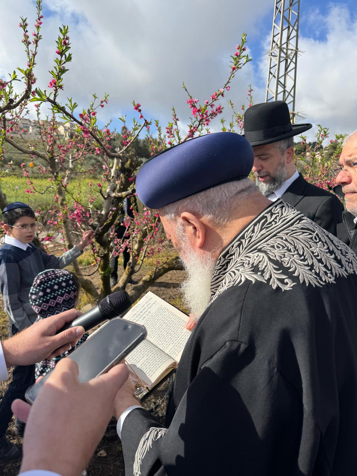 הגרש"מ עמאר בברכת האילנות