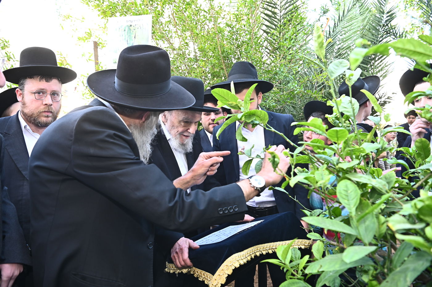 הגרמ"ה הירש בברכת האילנות
