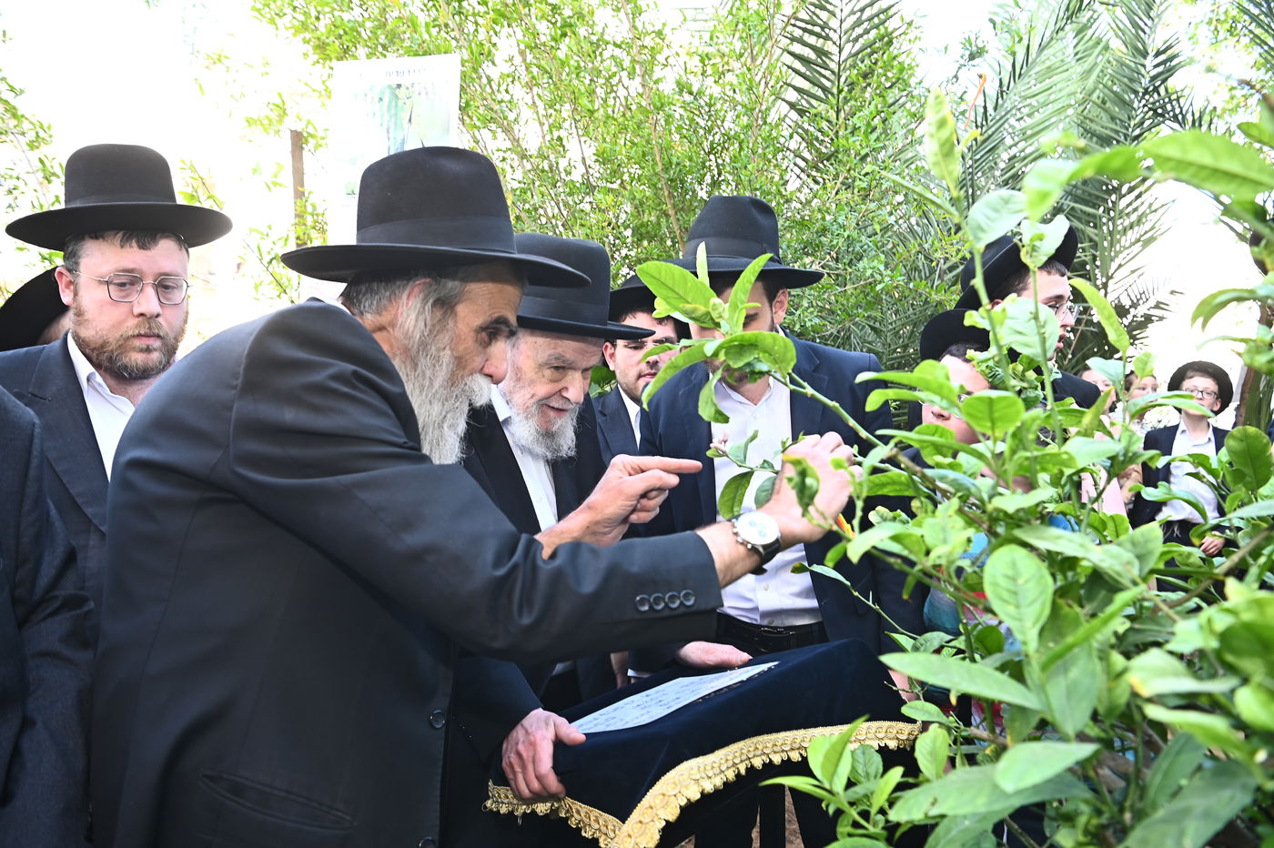 הגרמ"ה הירש בברכת האילנות