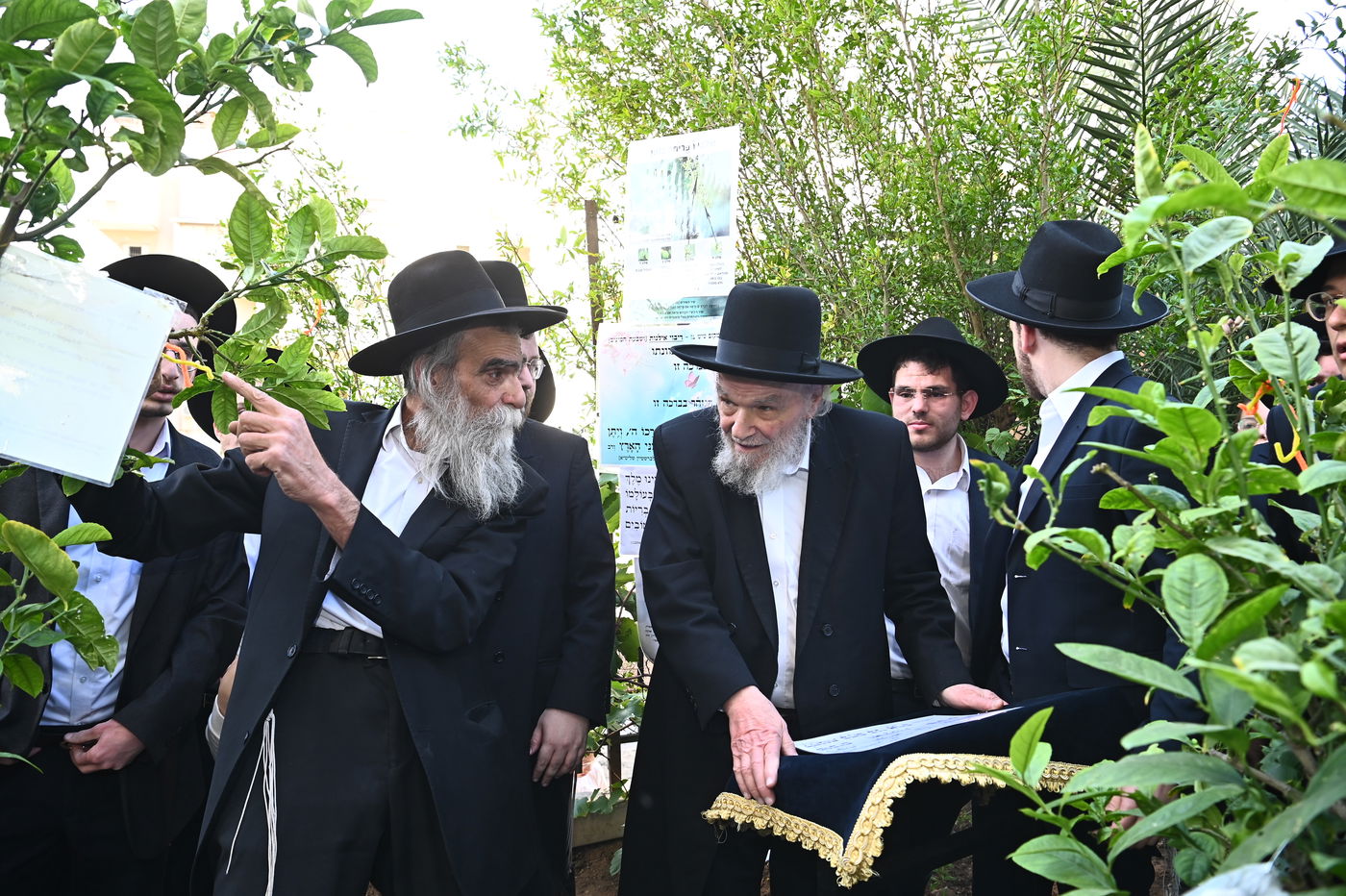 הגרמ"ה הירש בברכת האילנות