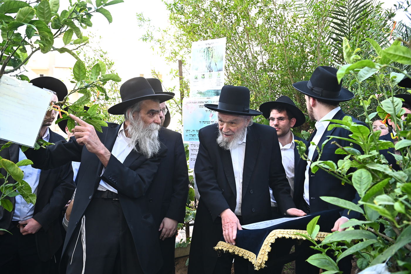 הגרמ"ה הירש בברכת האילנות