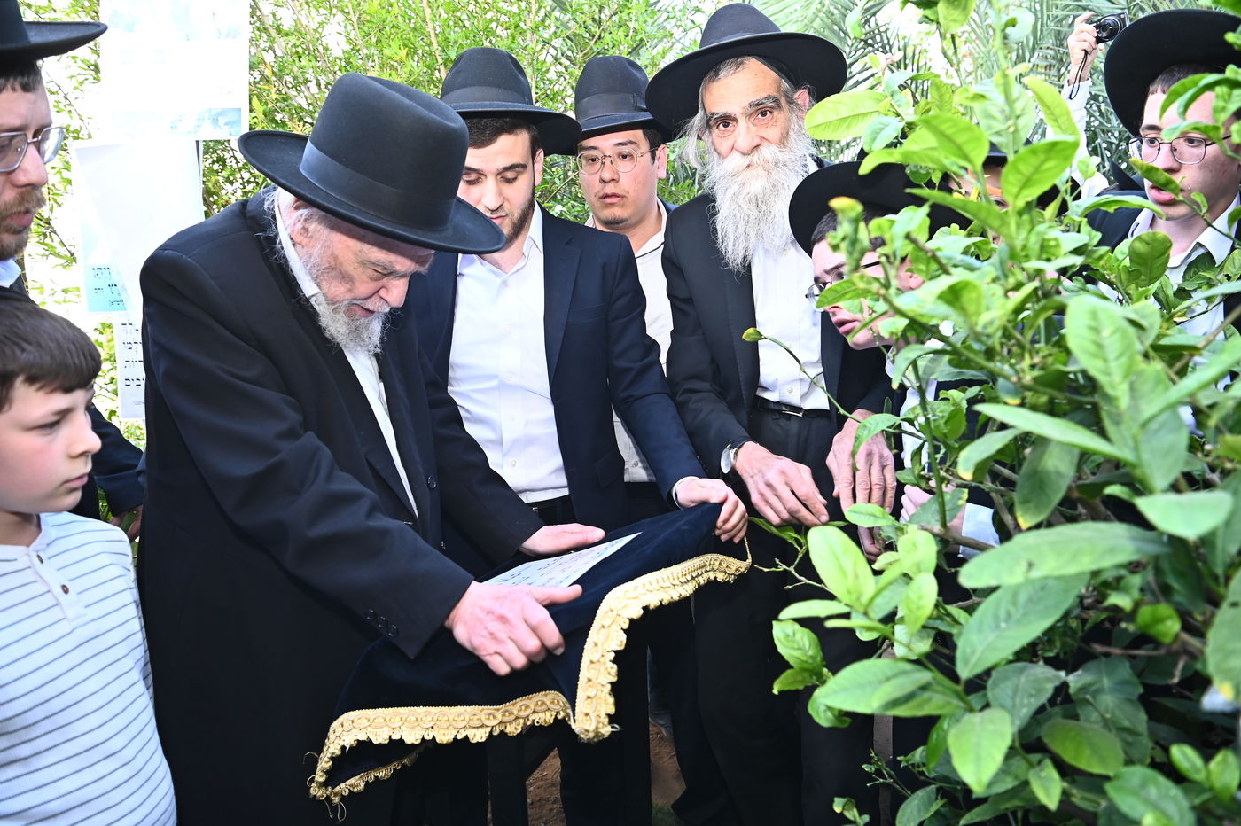 הגרמ"ה הירש בברכת האילנות