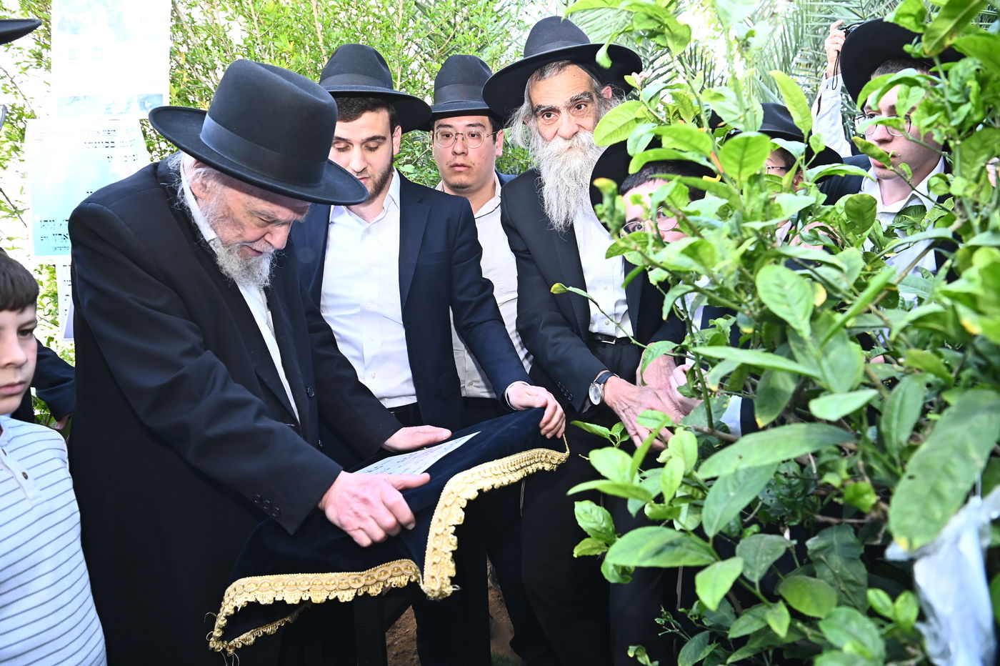 הגרמ"ה הירש בברכת האילנות