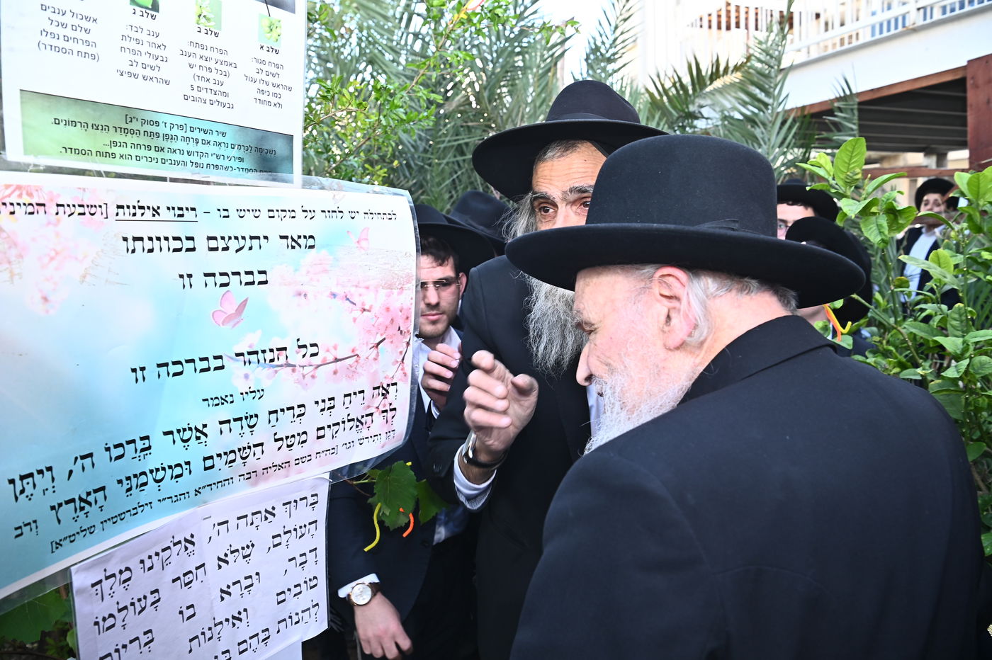 הגרמ"ה הירש בברכת האילנות