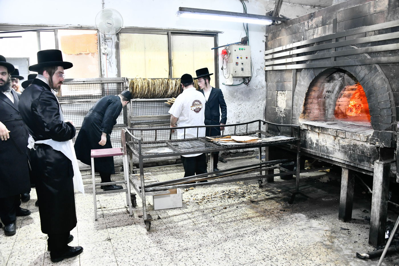 האדמו"ר מסאדיגורה באפיית מצות