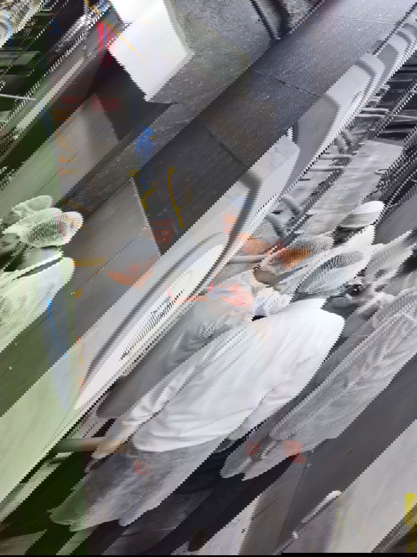 משגיחי הכשרות של חוג חתם סופר משגיחים על תהליך הייצור