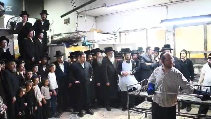 האדמו"ר מסאדיגורה באפיית מצות