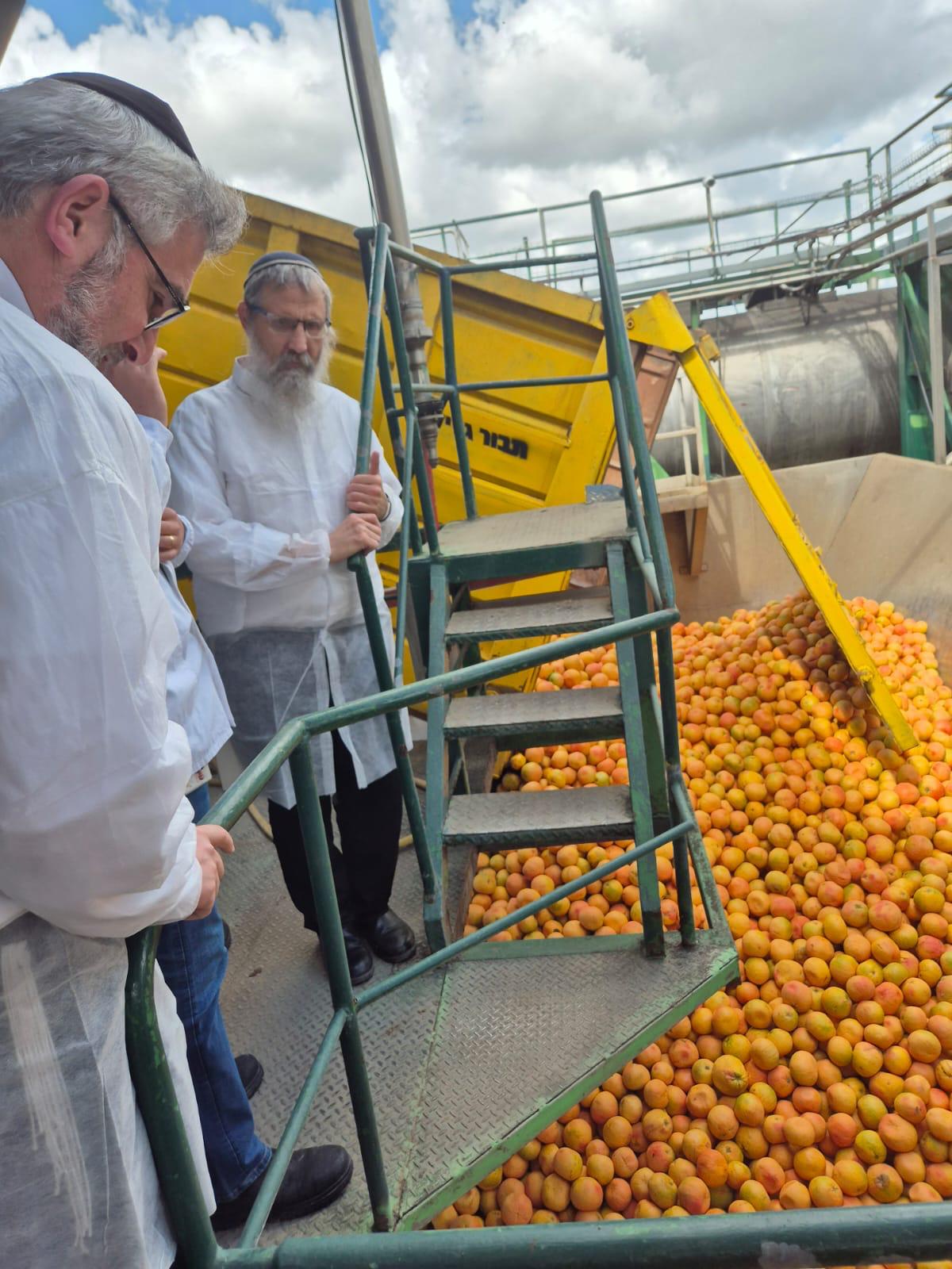 משגיחי הכשרות של חוג חתם סופר משגיחים על תהליך הייצור