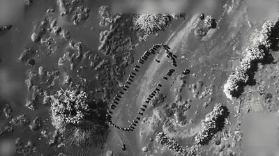 טראמפ חשף תיעוד: כך חוסלו עשרות מחבלי החות'ים בתימן