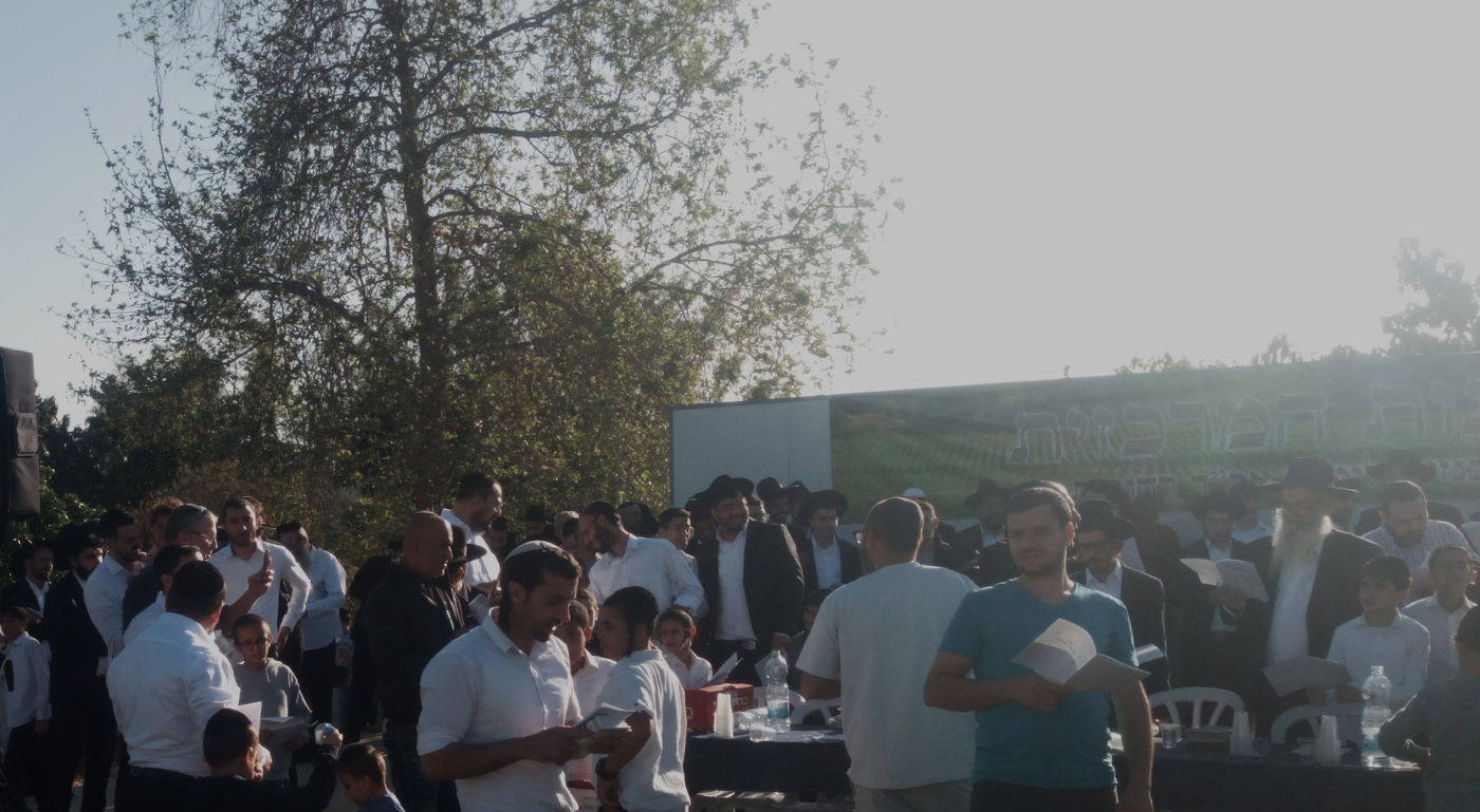 הגאון ר' ציון אשכנזי בברכת האילנות