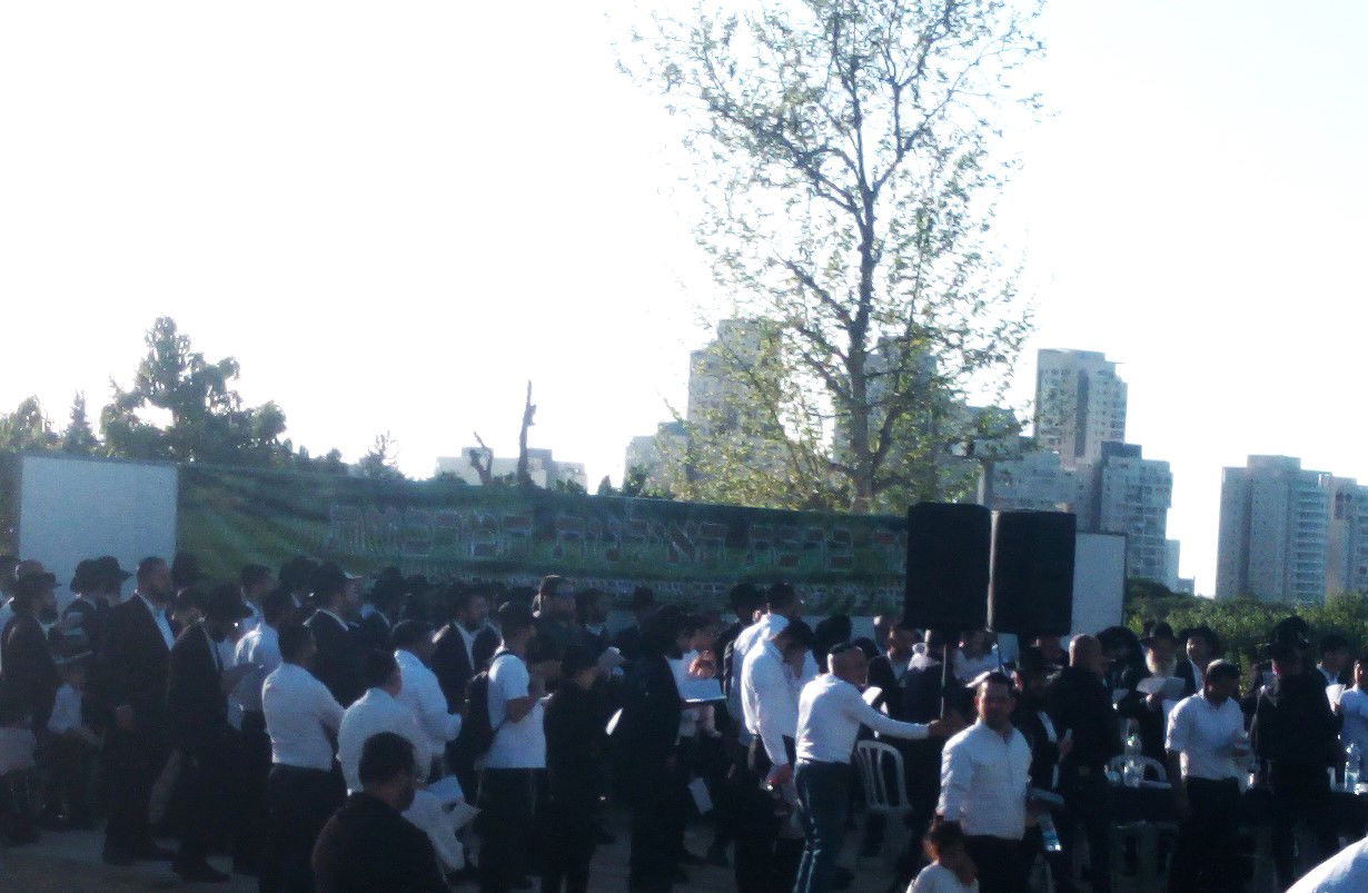 הגאון ר' ציון אשכנזי בברכת האילנות