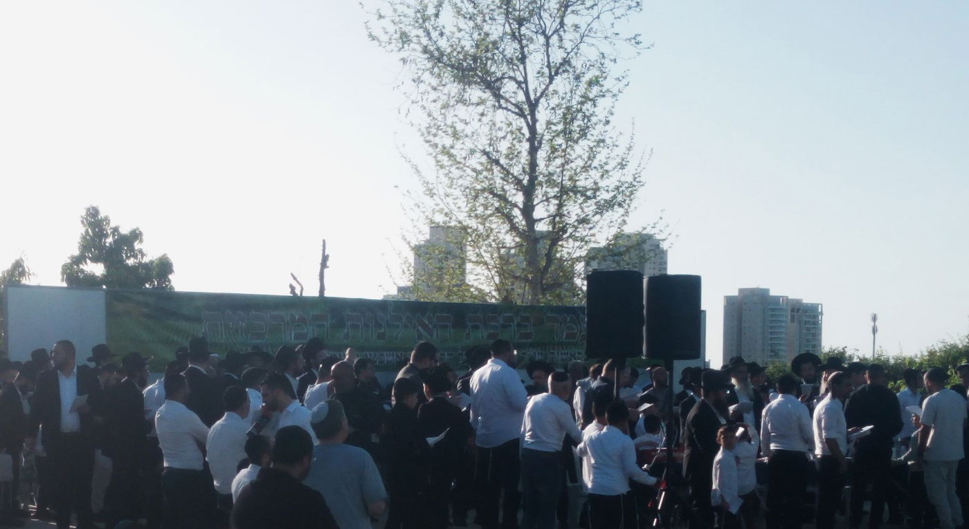 הגאון ר' ציון אשכנזי בברכת האילנות