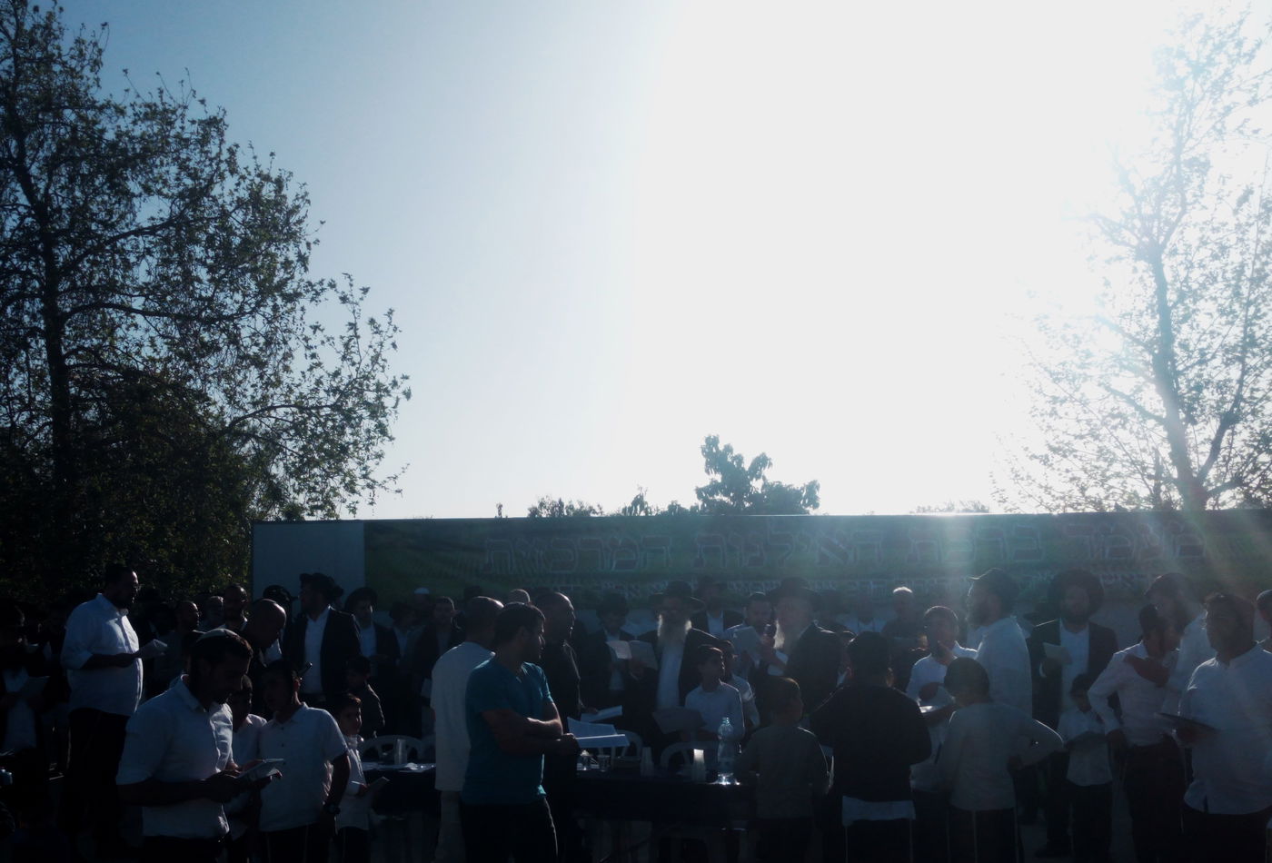 הגאון ר' ציון אשכנזי בברכת האילנות