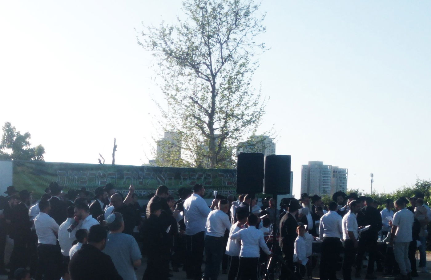 הגאון ר' ציון אשכנזי בברכת האילנות