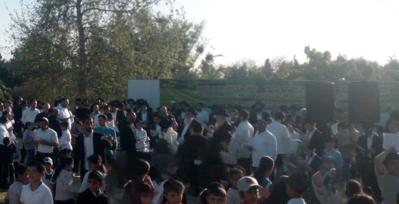 הגאון ר' ציון אשכנזי בברכת האילנות