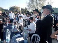 הגאון ר' ציון אשכנזי בברכת האילנות