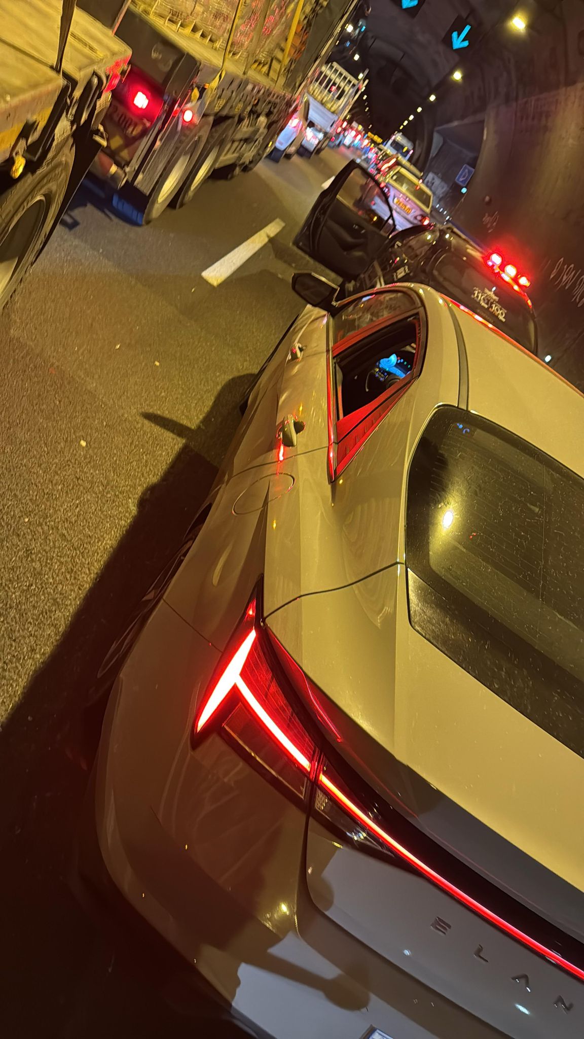 מעצר גנב הרכב