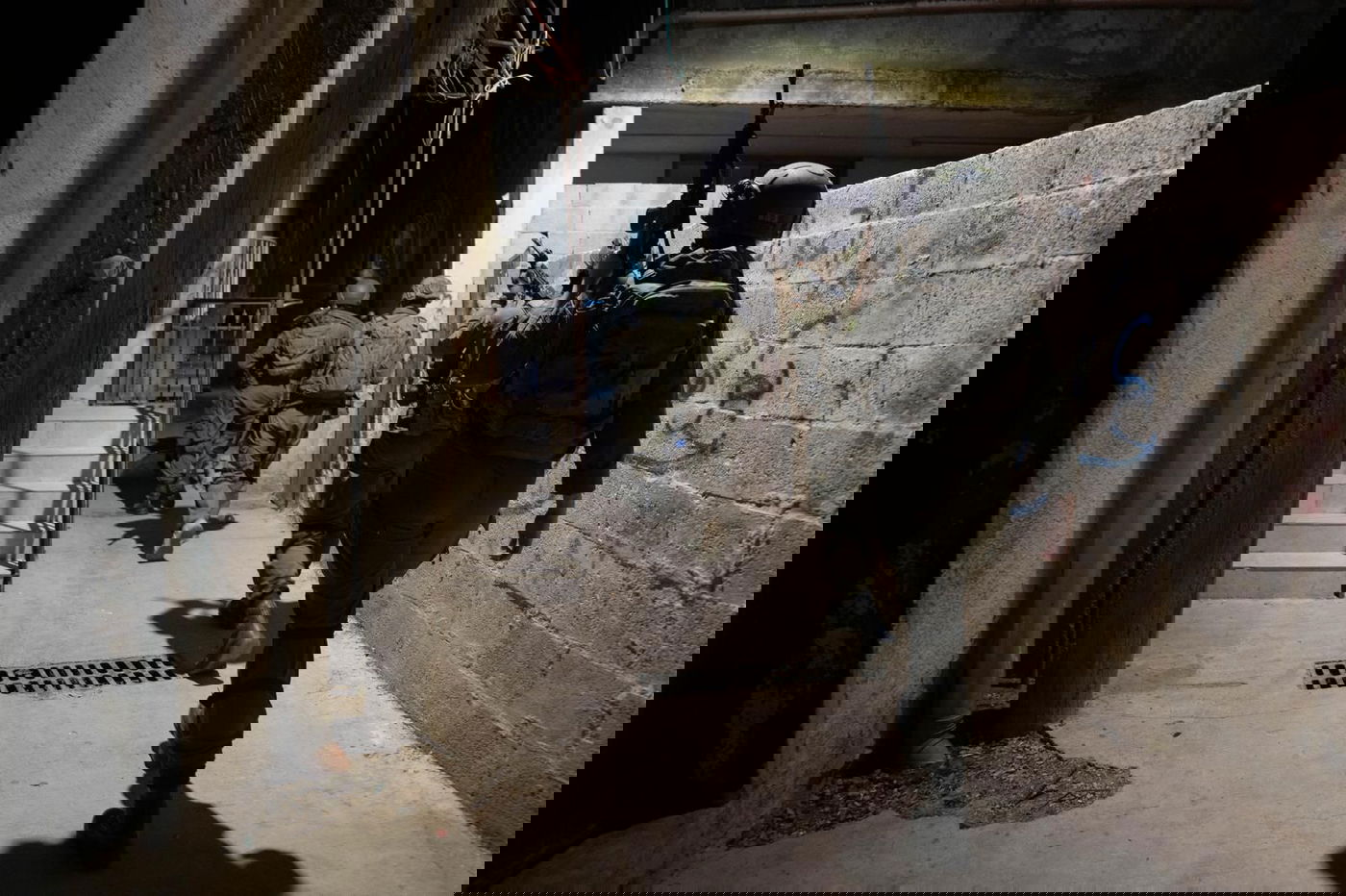 פעילות הכוחות