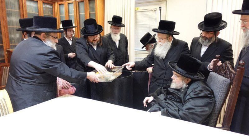 דגים חיים במעונו של האדמו"ר מבעלזא