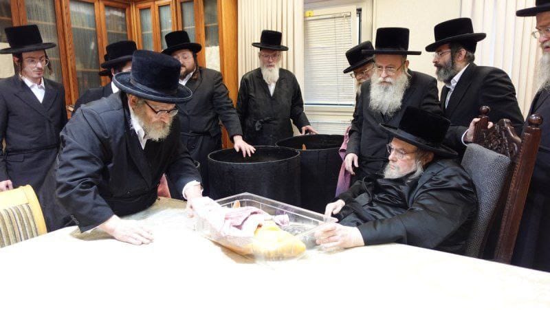 דגים חיים במעונו של האדמו"ר מבעלזא