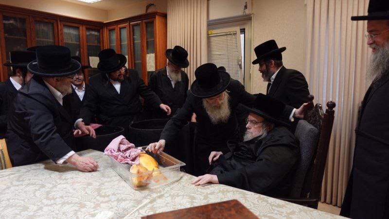 דגים חיים במעונו של האדמו"ר מבעלזא