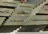 הרימונים שנמכרו לכאורה