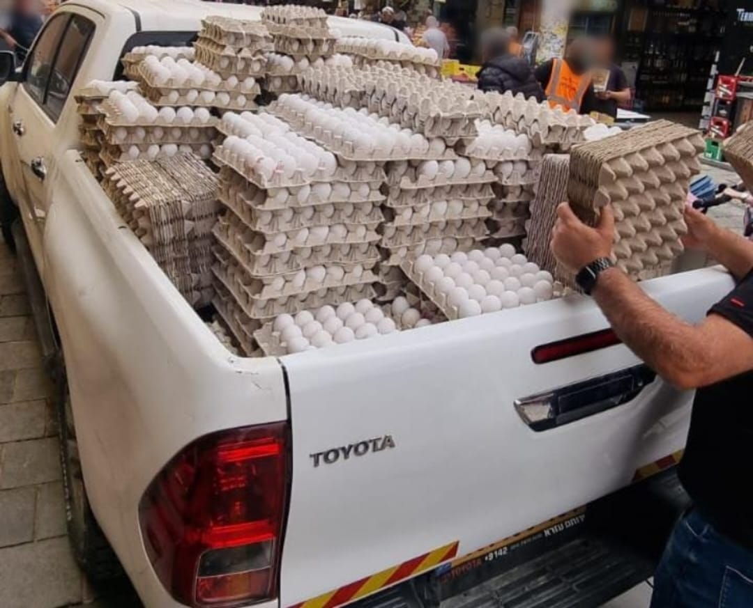 חלק מהביצים שנתפסו