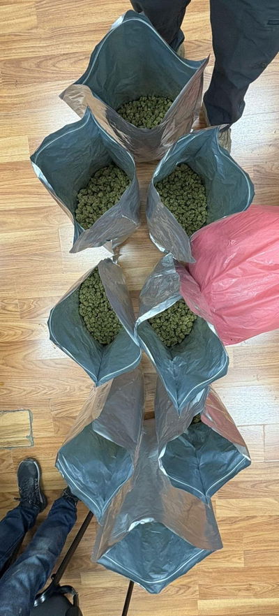 הסמים שנמצאו