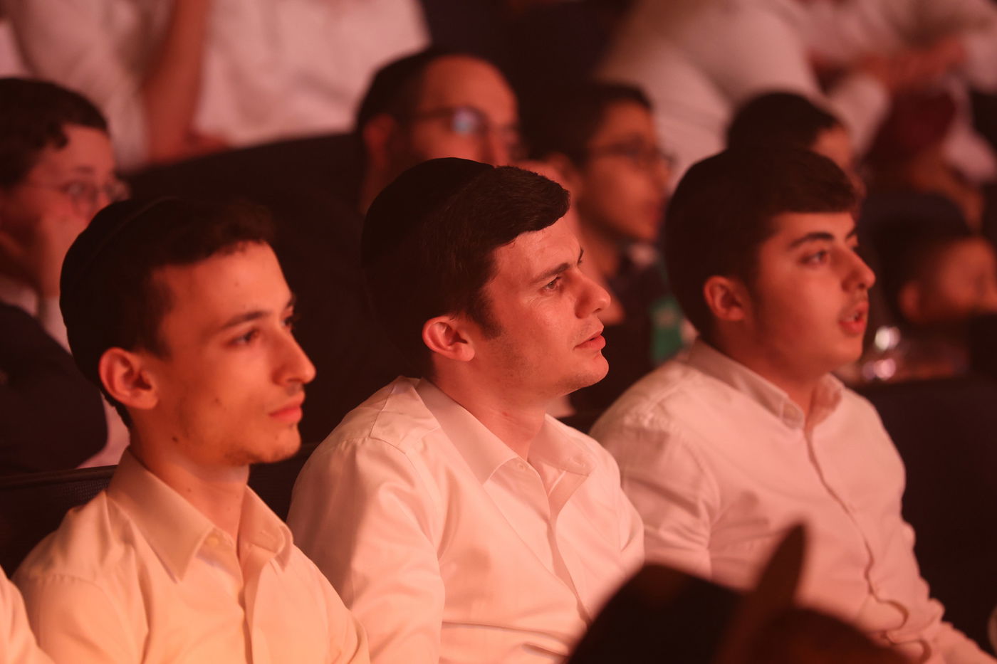 הכנה לליל הסדר בחיפה 