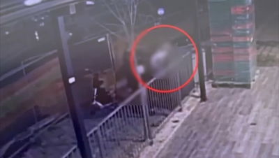 הצילום ממצלמות האבטחה