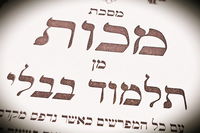 הדף היומי: מס' מכות דף כ"ג יום חמישי ג' באייר