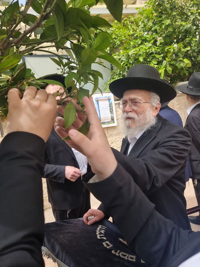 הגרב"ד אלישיב במעמד ברכת האילנות