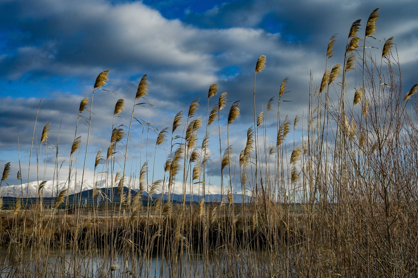 סוף הימים הקרירים | ממחר: התחממות, שרב, אובך וסופות חול | התחזית המלאה