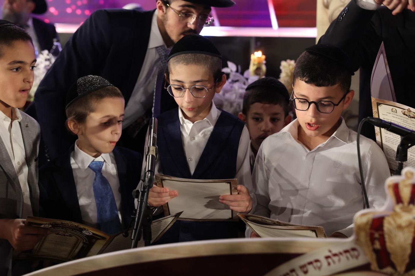 סיום כל התורה כולה במוסדות "המאיר לארץ"