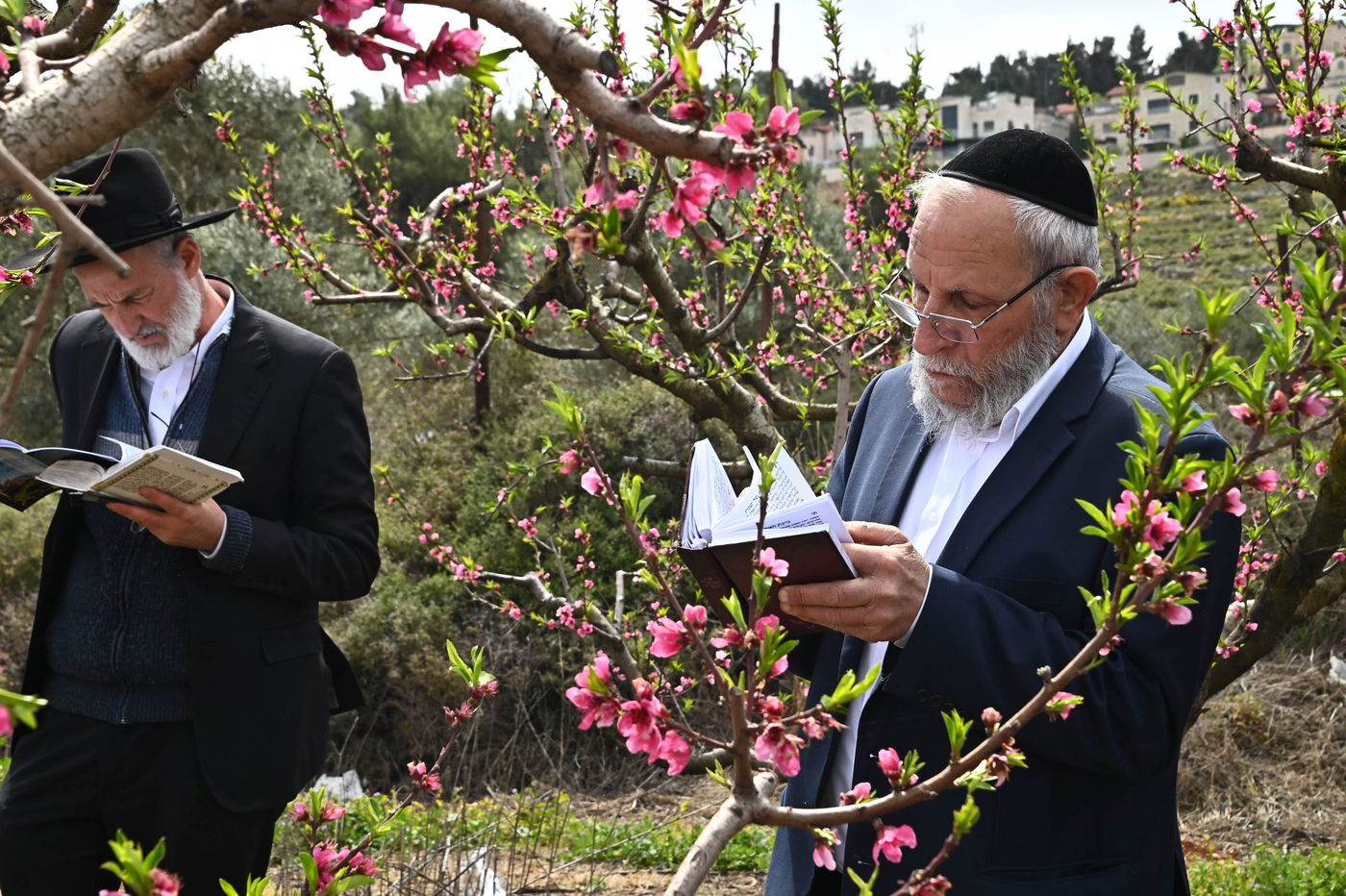 תושבי בני ברק בברכת האילנות