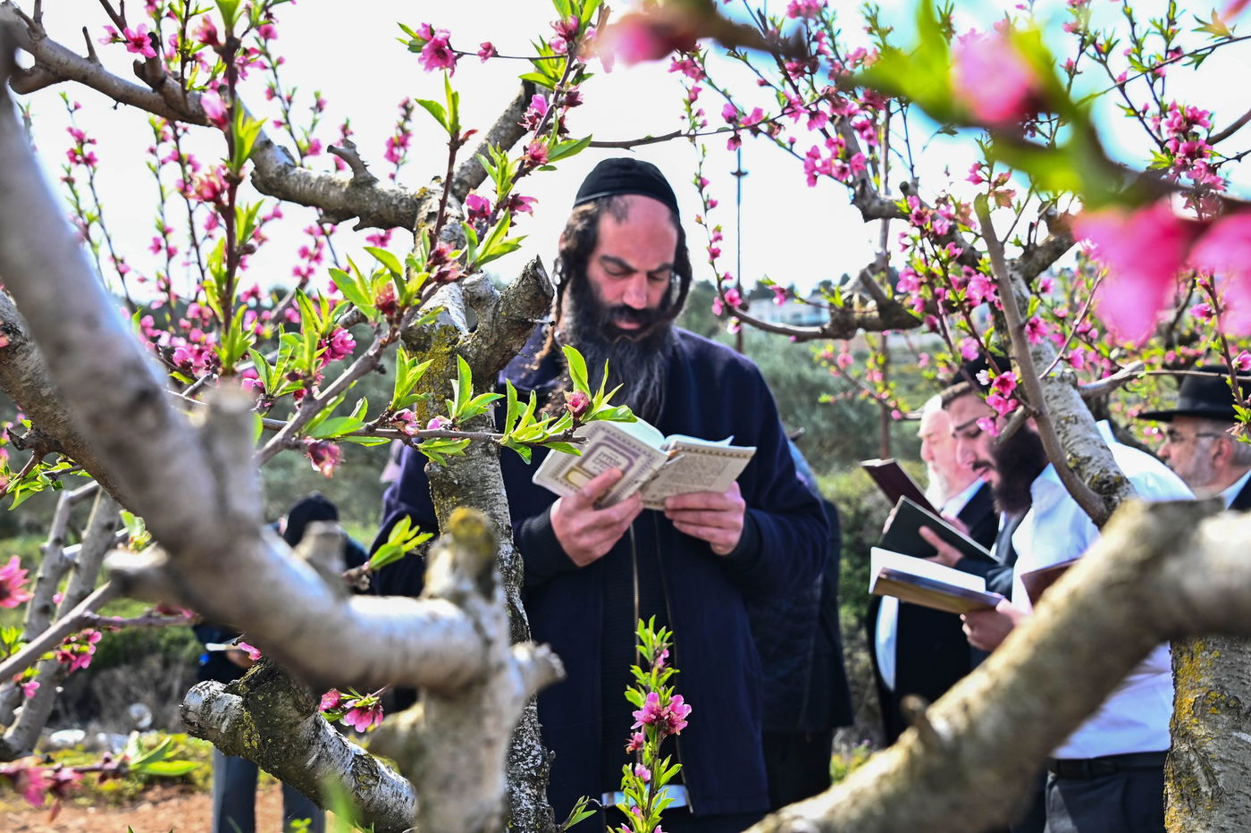 תושבי בני ברק בברכת האילנות