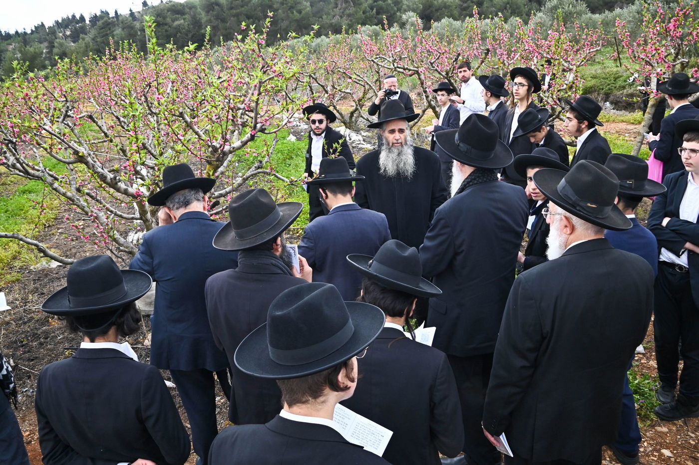 תושבי בני ברק בברכת האילנות