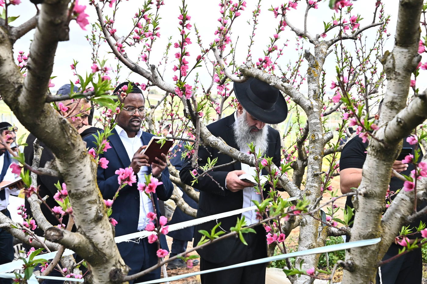 תושבי בני ברק בברכת האילנות