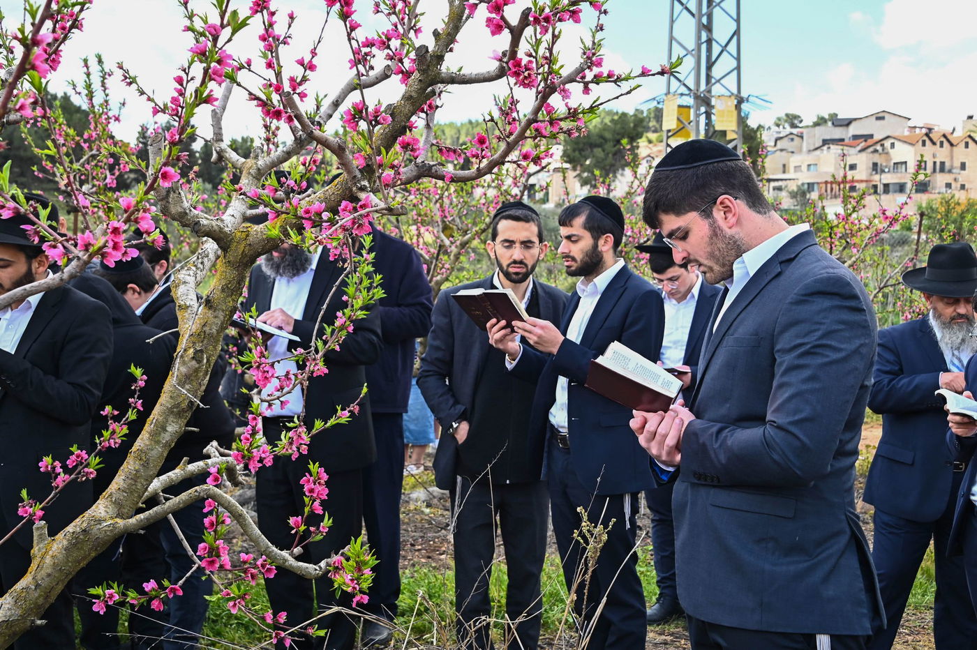 תושבי בני ברק בברכת האילנות