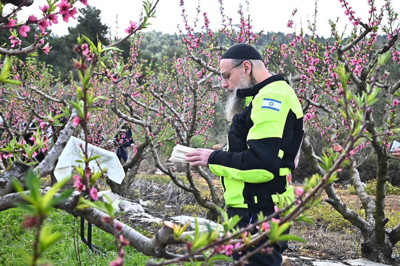 תושבי בני ברק בברכת האילנות
